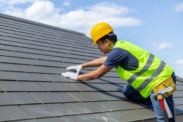 Best Roof Maintenance Services  in Waterloo, NE