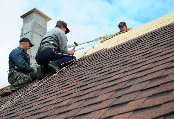 Best Roof Maintenance Services  in Waterloo, NE